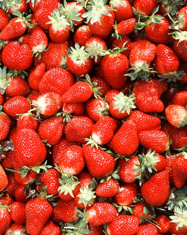 Foto - Bu besinleri sakın buzdolabında saklamayın