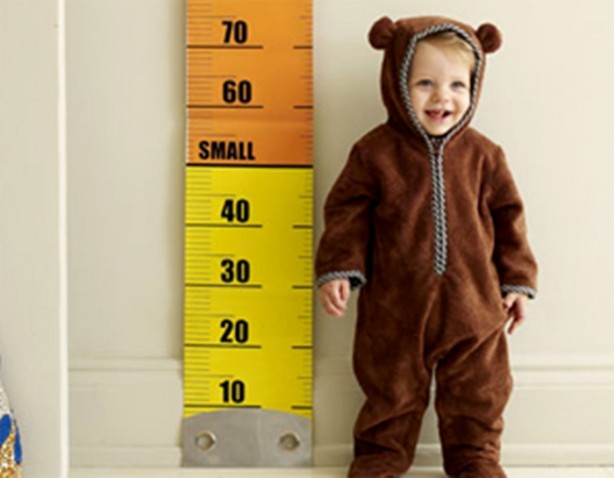 Foto - Bu besinlerin boy uzattığını biliyor muydunuz?