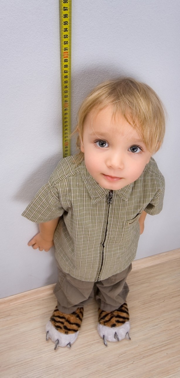 Foto - Bu besinlerin boy uzattığını biliyor muydunuz?