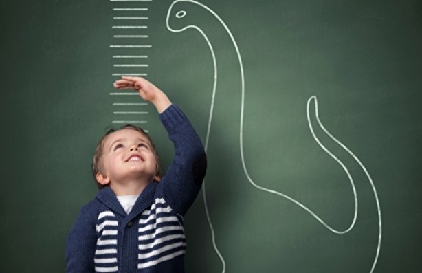 Foto - Bu besinlerin boy uzattığını biliyor muydunuz?