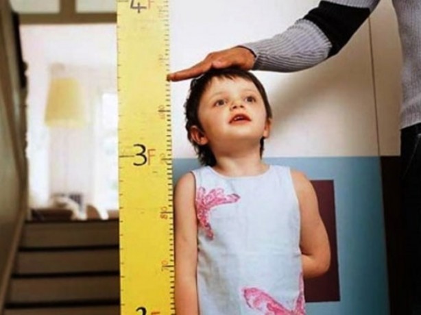 Foto - Bu besinlerin boy uzattığını biliyor muydunuz?