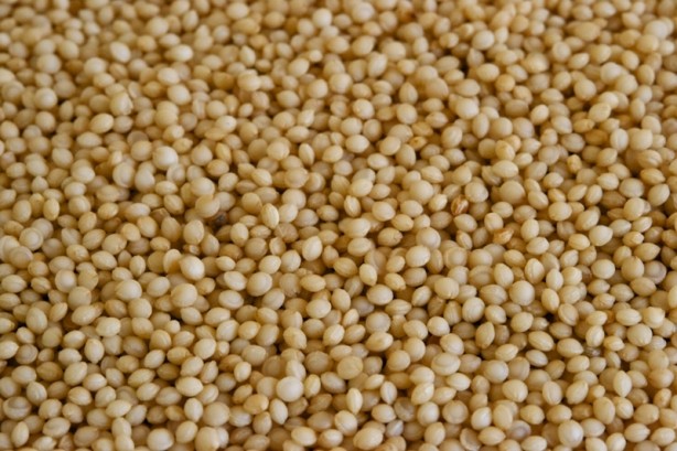 Foto - Bu besinlerle açlık hissetmeden oruç tutun