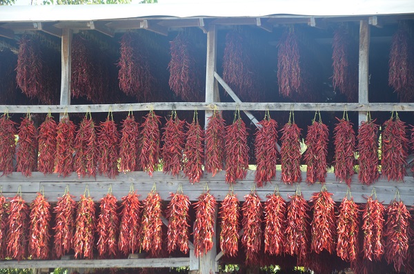 Foto - Bu biber 155 yıldır aynı tohumla üretiliyor