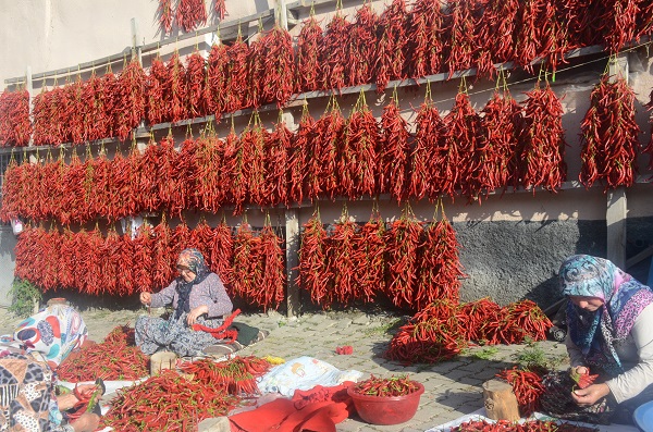Foto - Bu biber 155 yıldır aynı tohumla üretiliyor