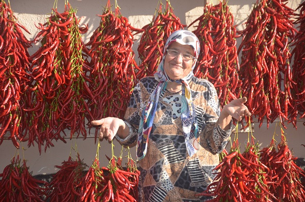 Foto - Bu biber 155 yıldır aynı tohumla üretiliyor