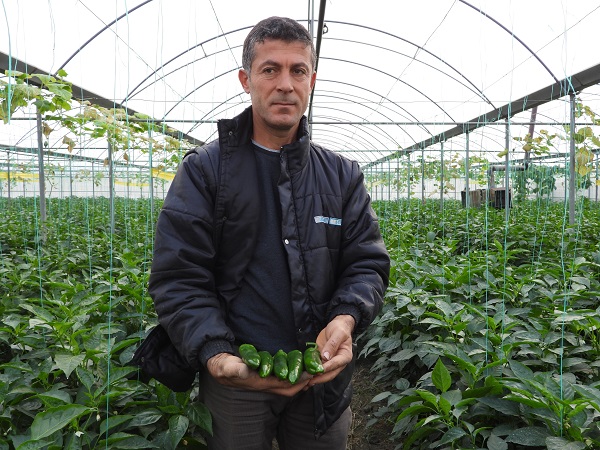 Foto - Bu biber diğerlerinden çok farklı! Azı şifa fazlası zarar