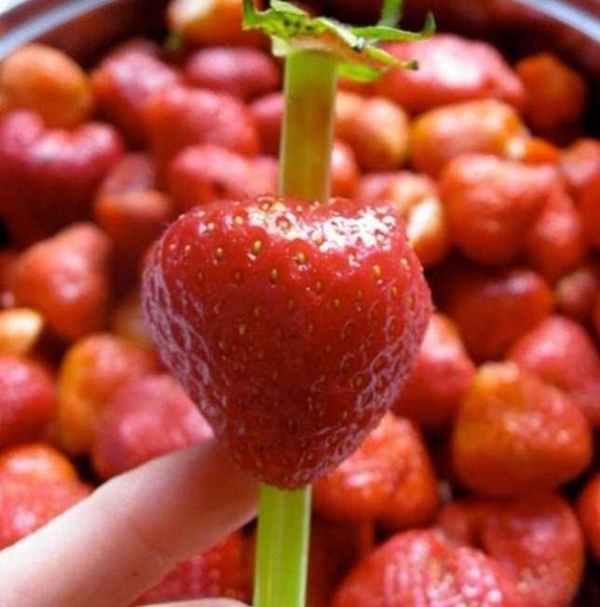 Foto - Bu bilgiler mutfakta çok işinize yarayacak!