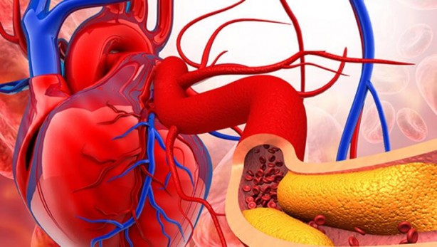 Foto - Bu 'bilgiler' öldürebilir! Kalbiniz için bu hataları sakın yapmayın