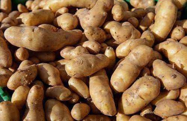 Foto - Bu bilgiler sizi çok şaşırtacak!