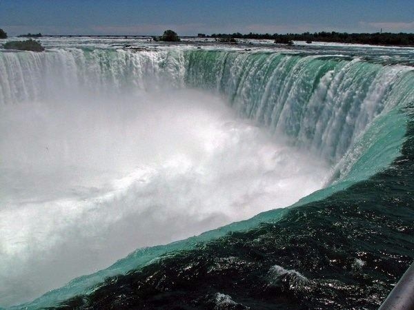 Foto - Bu bilgiler sizi çok şaşırtacak!