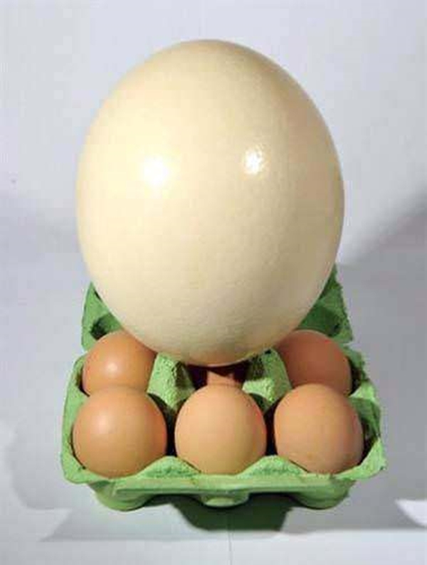 Foto - Bu bilgiler sizi çok şaşırtacak!