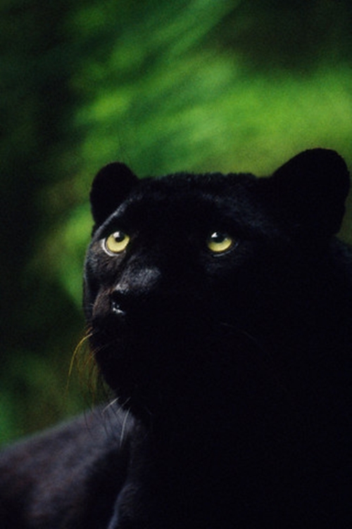 Foto - Bu bilgilere çok şaşıracaksınız