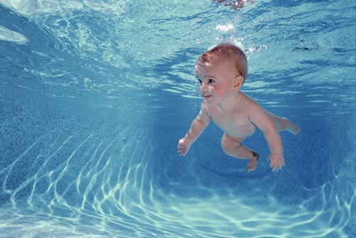 Foto - Bu bilgilere çok şaşıracaksınız