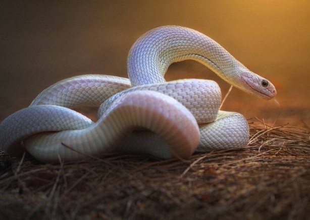 Foto - Bu bilgilere çok şaşıracaksınız! Günlük hayatta doğru bildiğimiz 25 yanlış