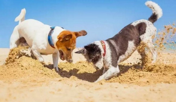Foto - Bu bilgilere çok şaşıracaksınız! Günlük hayatta doğru bildiğimiz 25 yanlış
