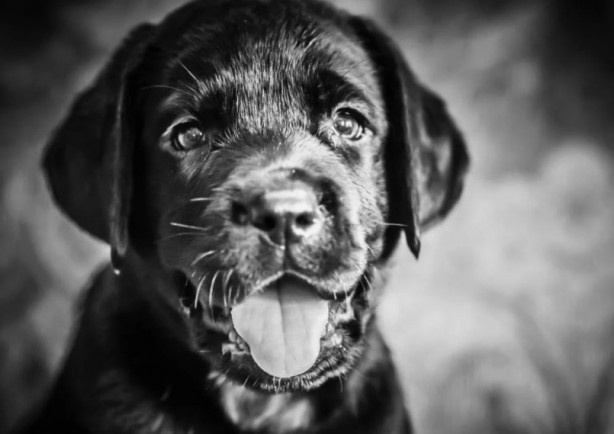 Foto - Bu bilgilere çok şaşıracaksınız! Günlük hayatta doğru bildiğimiz 25 yanlış