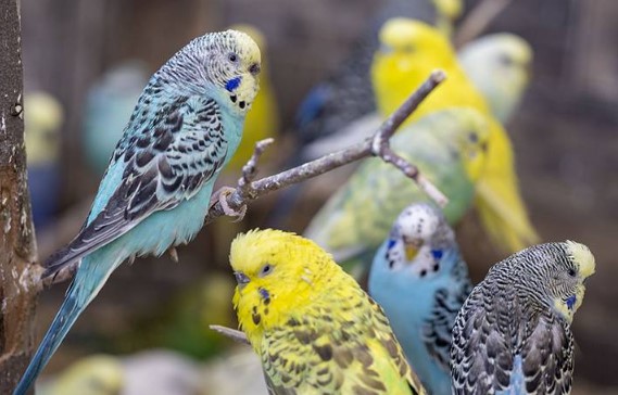 Foto - Bu bilgilere çok şaşıracaksınız! Günlük hayatta doğru bildiğimiz 25 yanlış