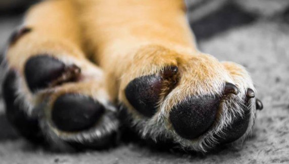 Foto - Bu bilgilere çok şaşıracaksınız! Günlük hayatta doğru bildiğimiz 25 yanlış