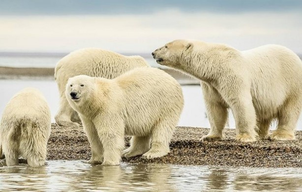 Foto - Bu bilgilere çok şaşıracaksınız! Günlük hayatta doğru bildiğimiz 25 yanlış