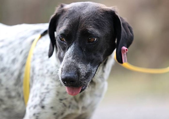 Foto - Bu bilgilere çok şaşıracaksınız! Günlük hayatta doğru bildiğimiz 25 yanlış