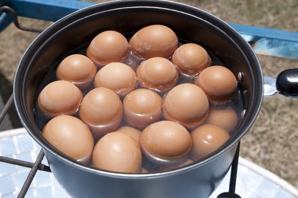 Bu bilgileri duyunca yumurta kabuklarını atmayacaksınız!