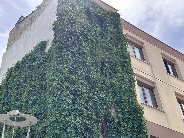 Foto - Bu binayı gören dönüp tekrar bakıyor