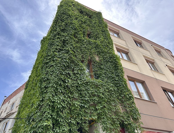 Foto - Bu binayı gören dönüp tekrar bakıyor