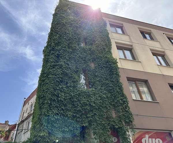 Foto - Bu binayı gören dönüp tekrar bakıyor