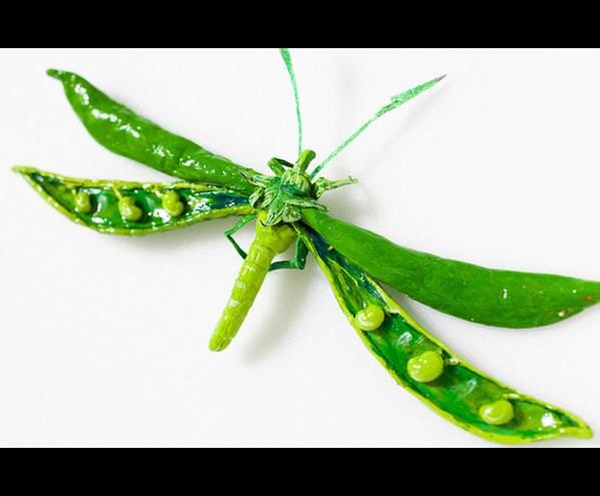 Foto - İnanmayacaksınız ama bu bir salatalık değil!