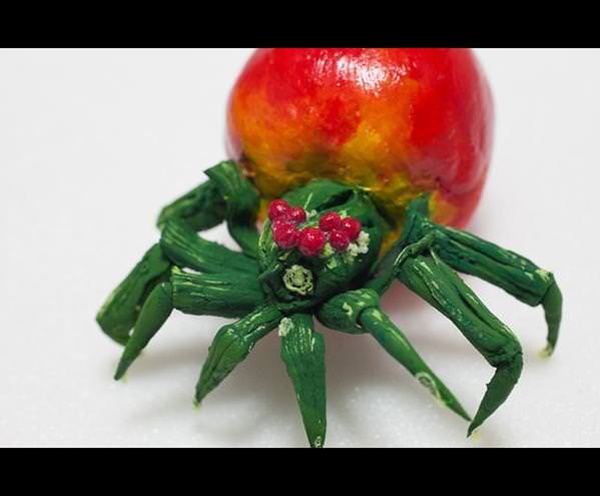 Foto - İnanmayacaksınız ama bu bir salatalık değil!