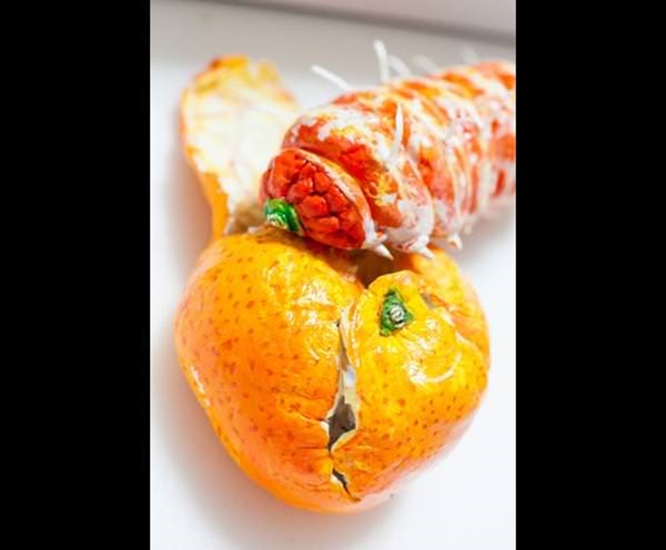 Foto - İnanmayacaksınız ama bu bir salatalık değil!