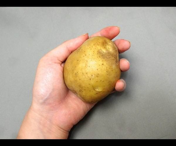 Foto - İnanmayacaksınız ama bu bir salatalık değil!