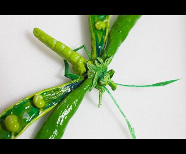 Foto - İnanmayacaksınız ama bu bir salatalık değil!