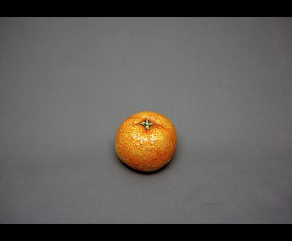 Foto - İnanmayacaksınız ama bu bir salatalık değil!