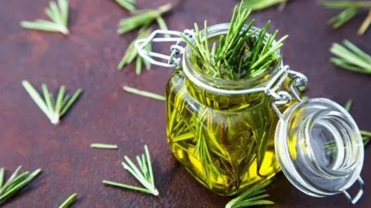 Foto - Bu bitki asırlardır şifa deposu: Hücre hasarını engelleyip yaşlanmayı yavaşlatıyor!