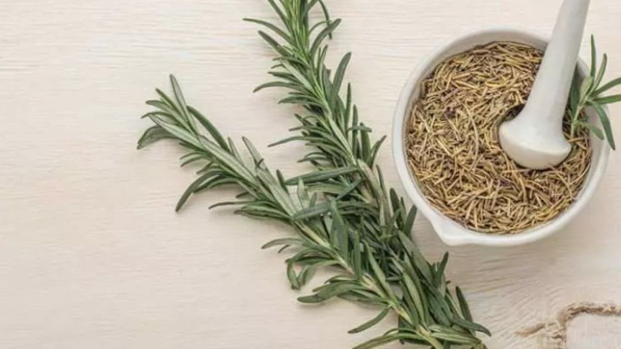 Bu bitki asırlardır şifa deposu: Hücre hasarını engelleyip yaşlanmayı yavaşlatıyor!