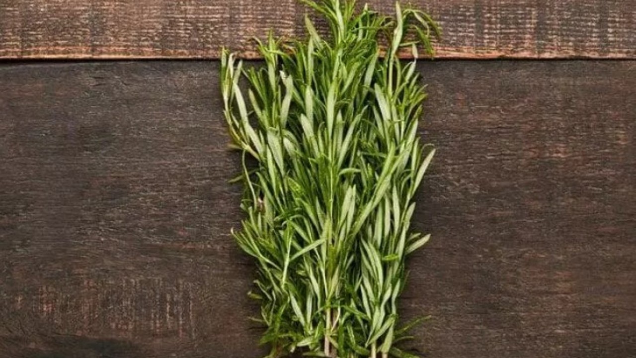 Foto - Bu bitki asırlardır şifa deposu: Hücre hasarını engelleyip yaşlanmayı yavaşlatıyor!