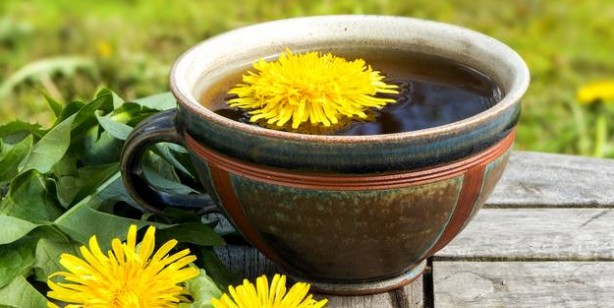 Foto - Bu bitki çayı böbreklere iyi geliyor