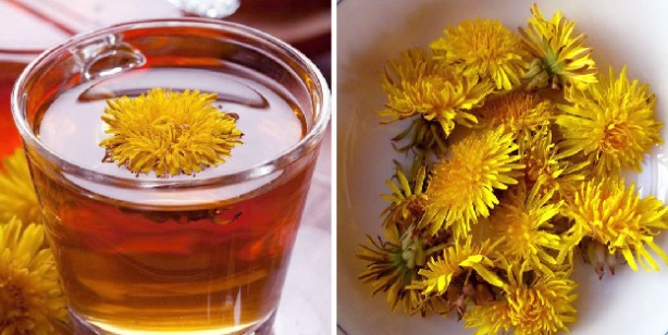 Foto - Bu bitki çayı böbreklere iyi geliyor