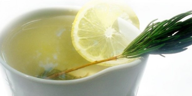 Foto - Bu bitki egzama ve sedef hastalığına iyi geliyor! Kuşotu lapası ve serçe dili çayı yapabilirsiniz!