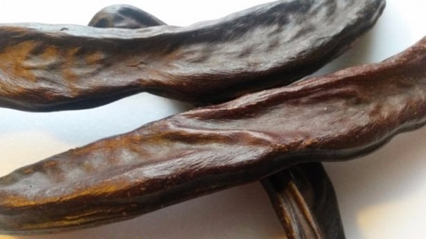 Foto - Bu bitki her derde deva!