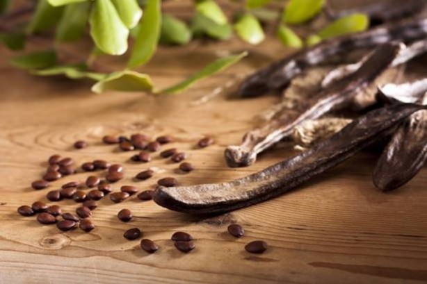 Foto - Bu bitki her derde deva!