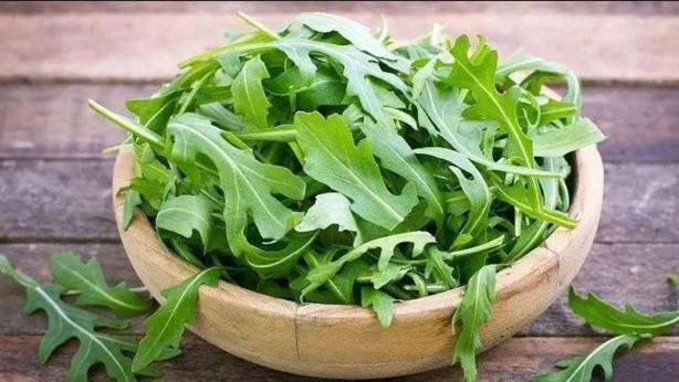 Foto - Bu bitki resmen panzehir! İbrahim Saraçoğlu'nun balgamı olduğu gibi söktüren kür tarifi: Anında zımba gibi ayağa kaldırıyor