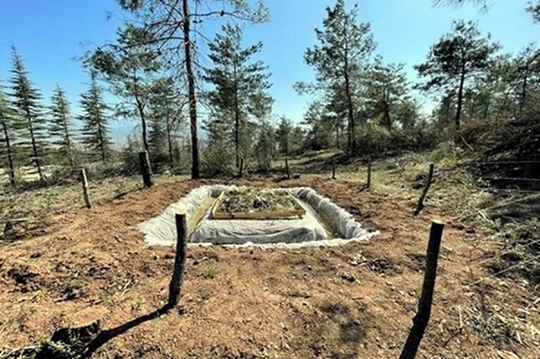 Foto - Bu bitkiler geçim kaynağı oldu! Yıllık 16,5 milyon TL gelir sağlıyor