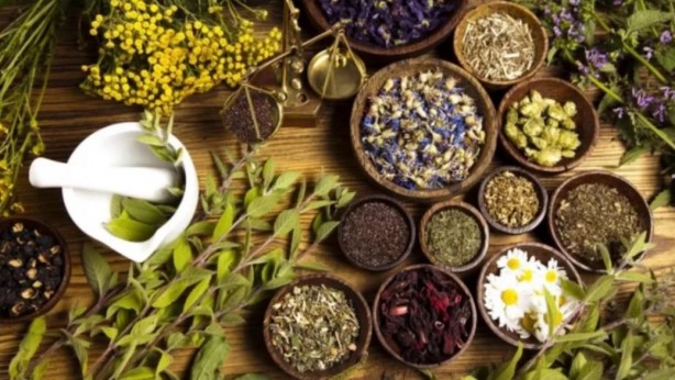 Bu bitkilerin bir tek ölüme çaresi yok! İşte şifa kaynağı bitkiler