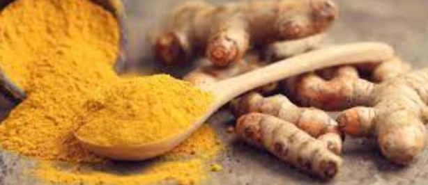 Foto - Bu bitkilerin bir tek ölüme çaresi yok! İşte şifa kaynağı bitkiler