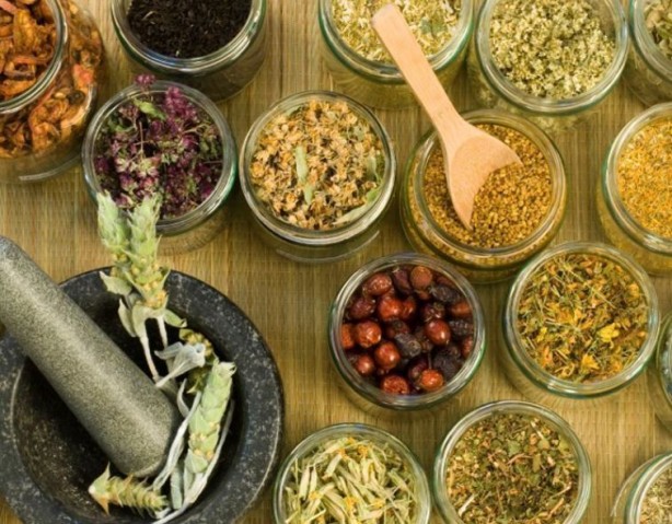 Foto - Bu bitkilerin bir tek ölüme çaresi yok! İşte şifa kaynağı bitkiler