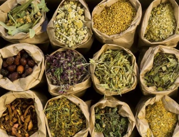 Foto - Bu bitkilerin bir tek ölüme çaresi yok! İşte şifa kaynağı bitkiler