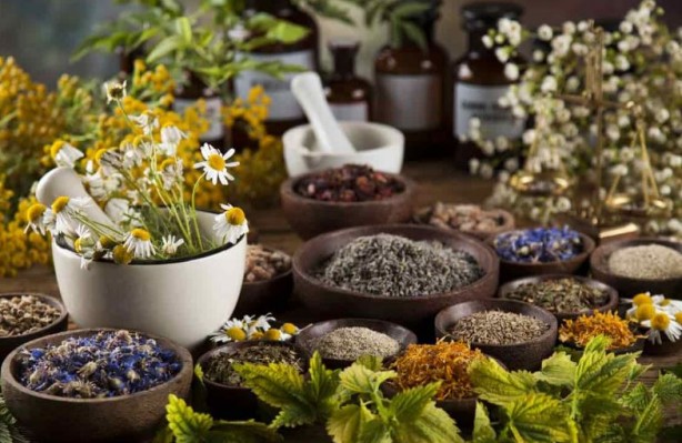 Foto - Bu bitkilerin bir tek ölüme çaresi yok! İşte şifa kaynağı bitkiler