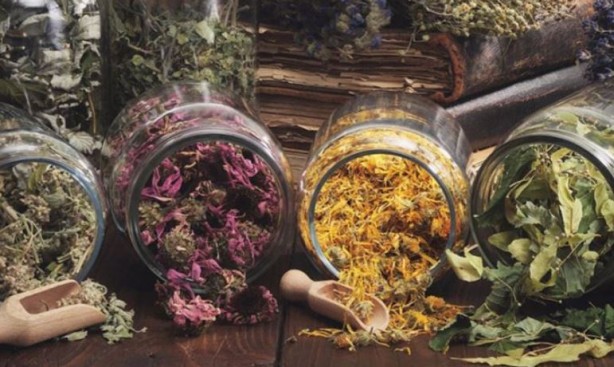 Foto - Bu bitkilerin bir tek ölüme çaresi yok! İşte şifa kaynağı bitkiler